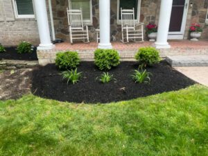 Black Mulch lawn area outside the house