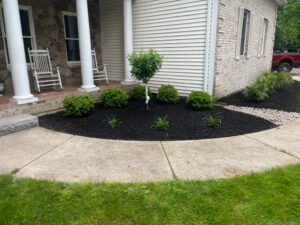 Dark Mulch for plants growth in the lawn area